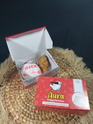 nasi box ayam
