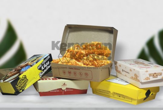 Box Chicken Katsu